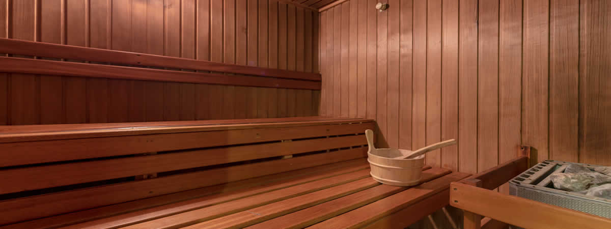 MS Amethist Classic Sauna