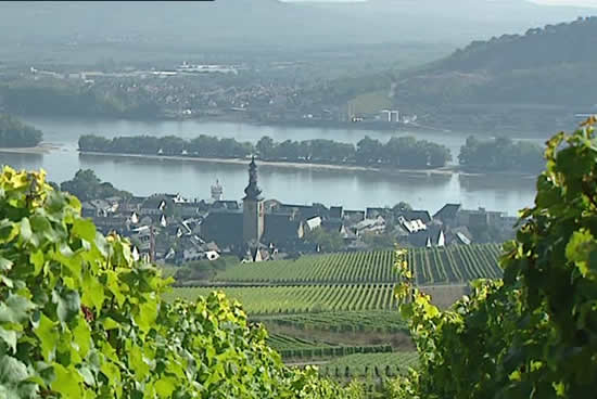 Rüdesheim y el rin