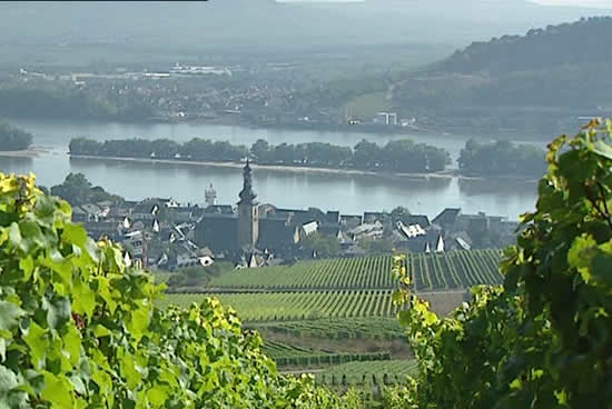 Rüdesheim y el rin