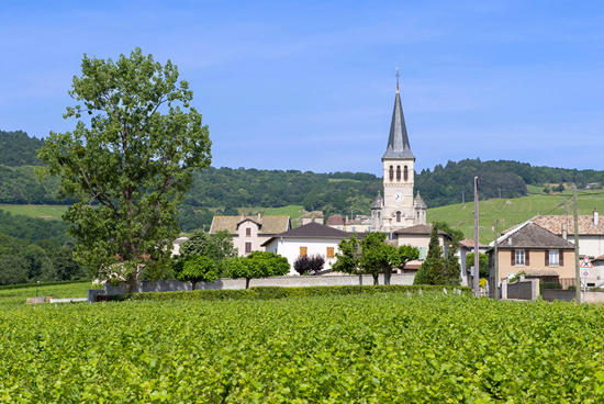 Beaujolais, zona vinicola