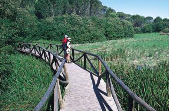 Parque Natural Doñana